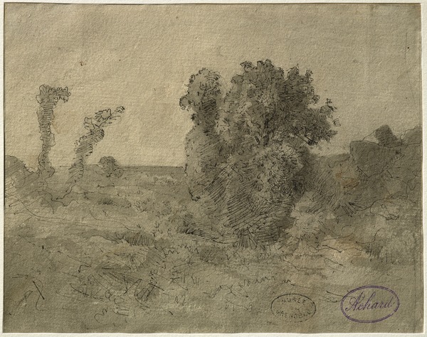 Bouquet d'arbres