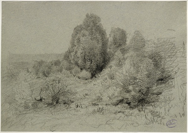 Arbres dans un vallon ; Paysage (Ancien titre)