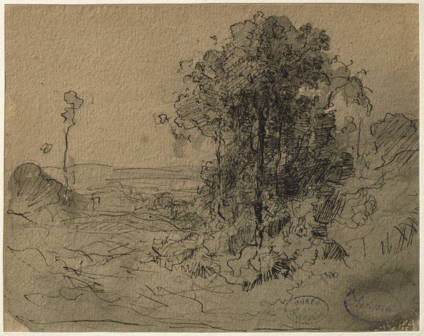 Bosquet d'arbres à Cernay