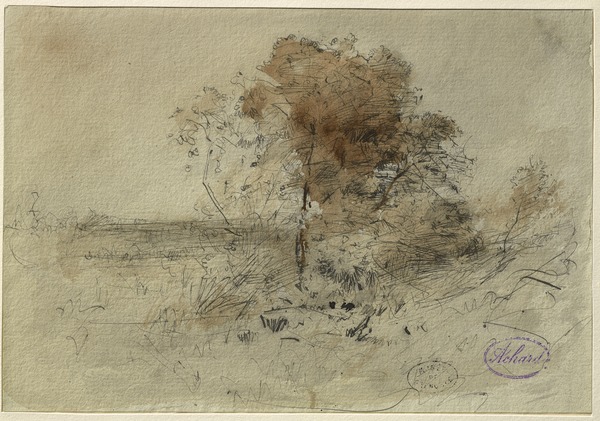 Bosquet d'arbres à Cernay