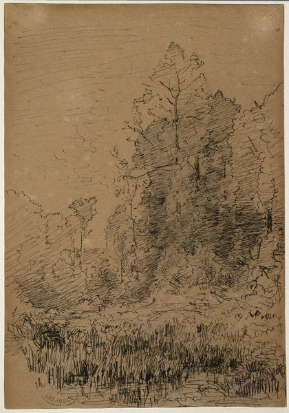 Paysage avec marais et arbres