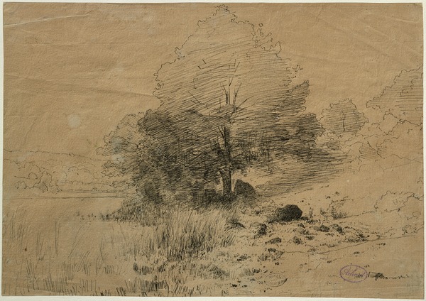 Paysage avec un grand arbre ; Marais bordé d'arbres à Cernay (Ancien titre)