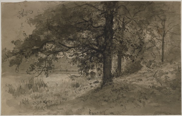 Les Bords de l'Oise ; Sous bois (Ancien titre)