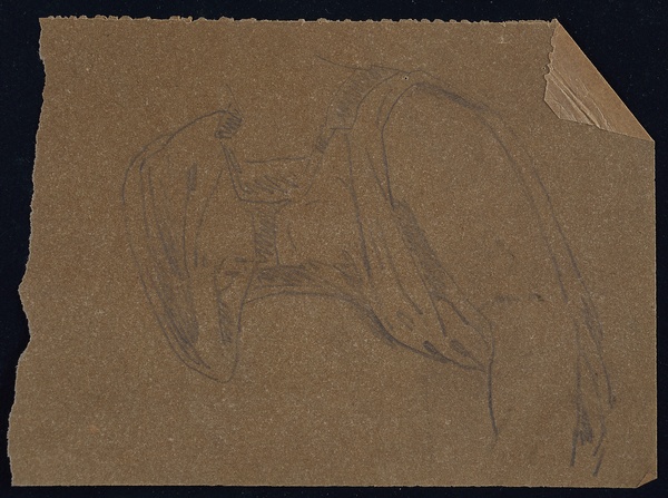 Sciences physiques : étude de buste