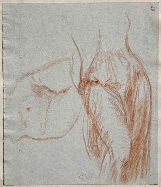 Etudes de nu et de drapé ; Femme drapée (Autre titre)