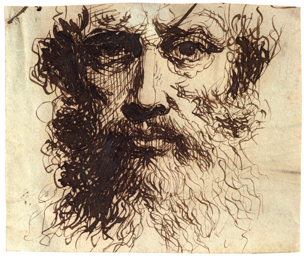 Tête de vieillard de face