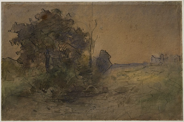 Massif d'arbres et colline