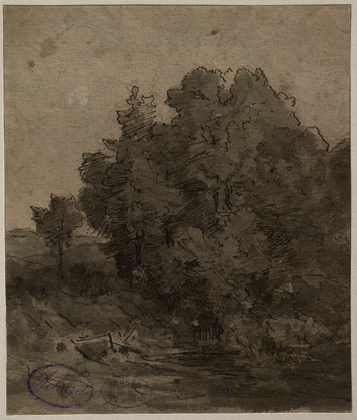 Bosquet d'arbres à Cernay