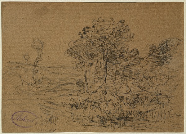 Bosquet d'arbres à Cernay