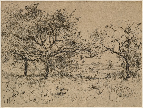 Verger : pommiers dans une prairie