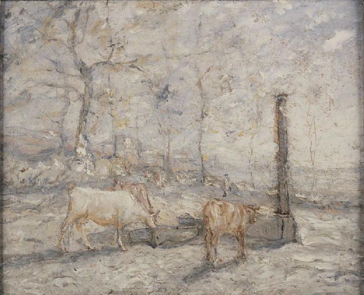 Vaches à l'abreuvoir
