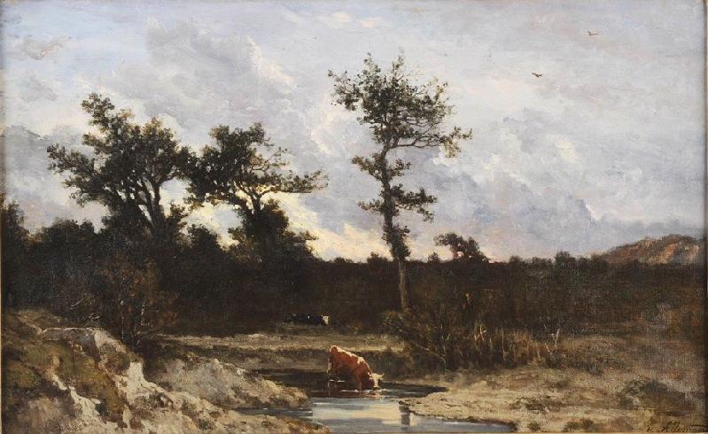 Vaches à l'abreuvoir