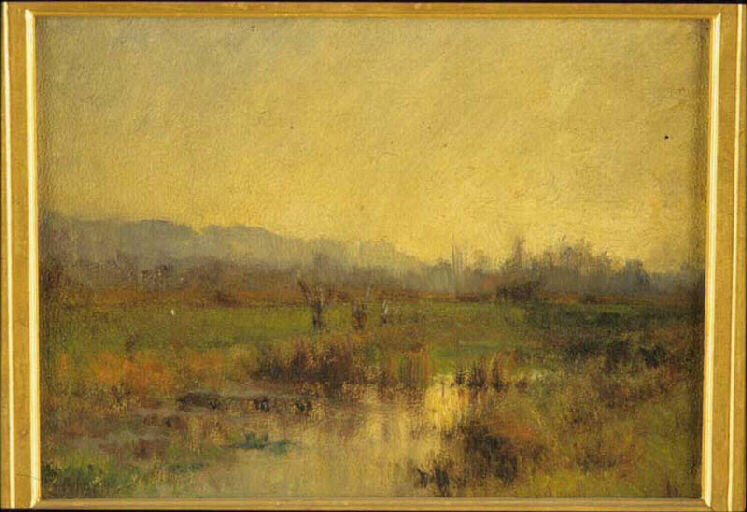 Paysage de marais