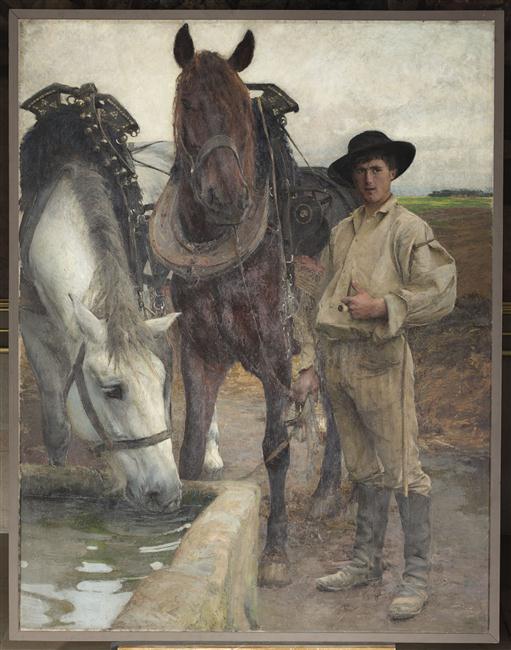 Chevaux à l'abreuvoir