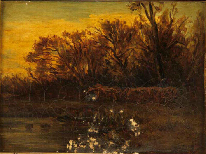 Vaches paissant à l'orée d'un bois