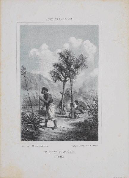 Le garde champêtre de Bourbon ; Album de La Réunion