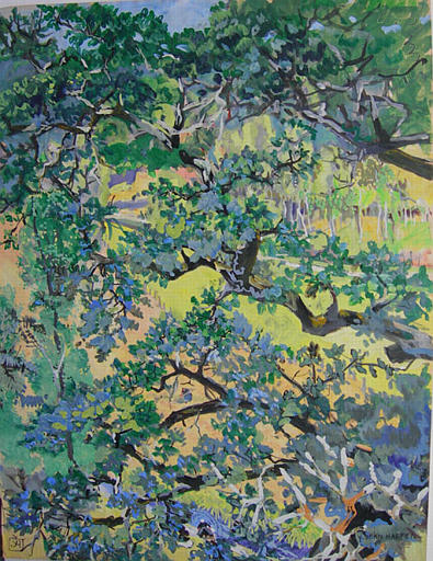 Mon grand chêne [titre attribué]