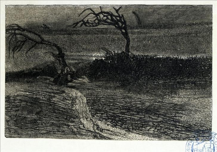 Album de gravures d'après les dessins de Victor Hugo pour les Travailleurs de la mer : Tourmente, arbres tordus (planche 35) - 1882
