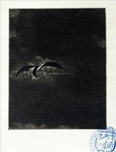 Album de gravures d'après les dessins de Victor Hugo pour les Travailleurs de la mer : Tempête, le cormoran (planche 43) - 1882