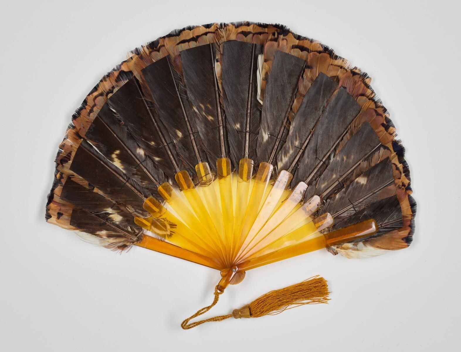 "Plumes de faisan"