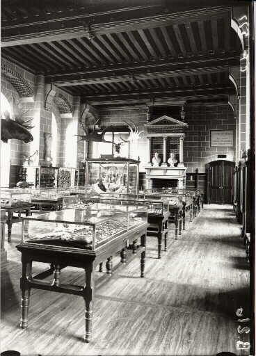 Musée des antiquités nationales. Premier étage. Vue générale de la salle I (la Gaule avant les métaux. Epoque quaternaire)
