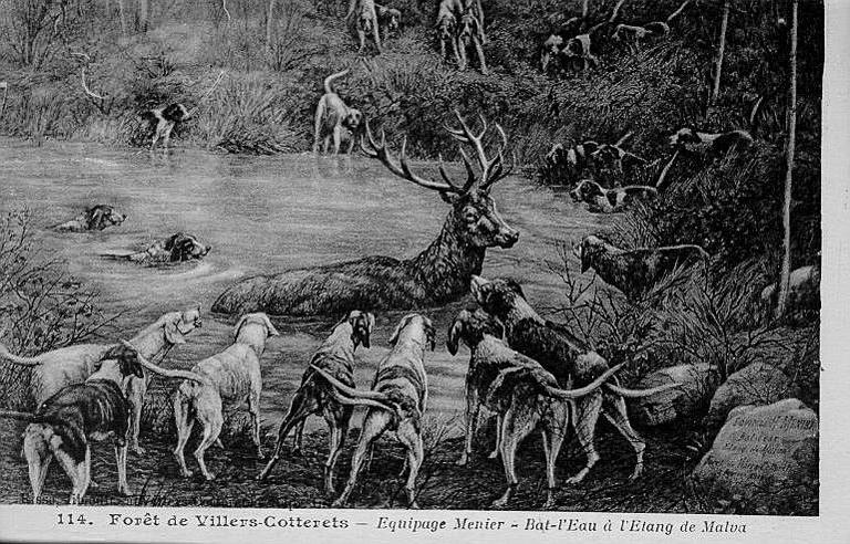 114. FORET DE VILLERS-COTTERETS - EQUIPAGE MENIER - BAT-L'EAU A L'ETANG DE MALVA