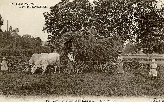 LA CAMPAGNE BOURBONNAISE - 28 LES TRAVAUX DES CHAMPS