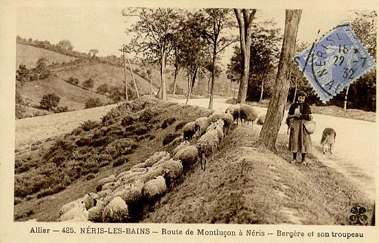 ALLIER - 425 NERIS-LES-BAINS - ROUTE DE MONTLUÇON A NERIS - BERGERE ET SON TROUPEAU