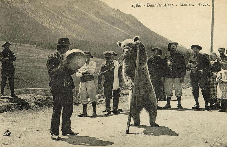 1388 - DANS LES ALPES - MONTREUR D'OURS