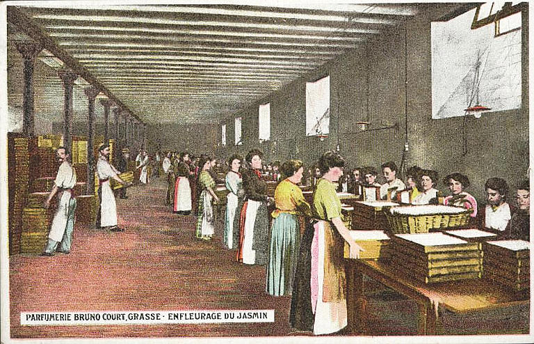 PARFUMERIE BRUNO COURT, GRASSE - ENFLEURAGE DU JASMIN