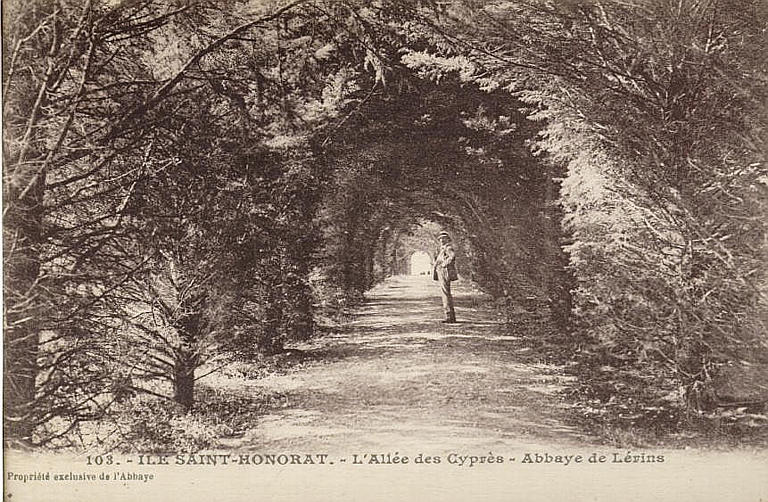 103 - ILE SAINT-HONORAT - L'ALLEE DES CYPRES - ABBAYE DE LERINS