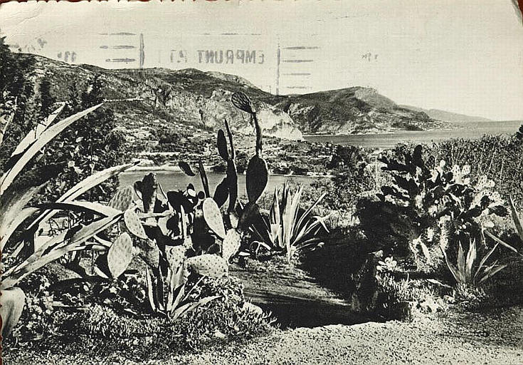 Le Plateau du Mont-Boron - Vers le Cap Ferrat et Monaco