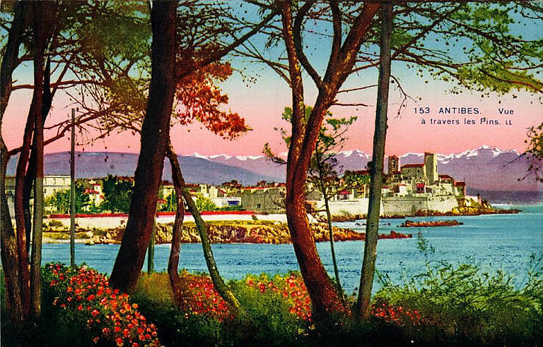 153. ANTIBES - VUE A TRAVERS LES PINS