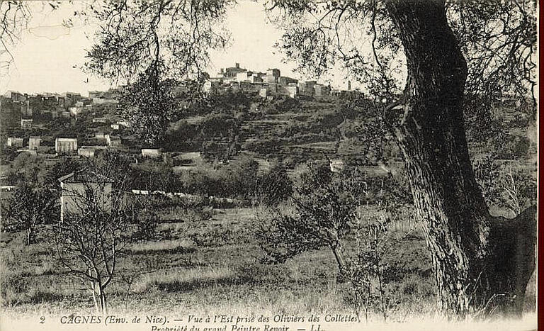 2 CAGNES (ENV. DE NICE) - VUE A L'ESR PRISE DES OLIVIERS DES COLLETTES - PROPRIETE DU GRAND PEINTRE RENOIR