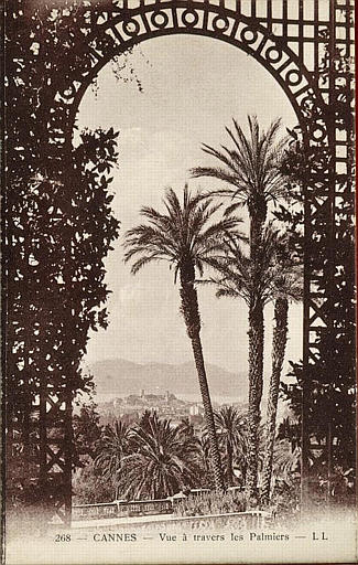268 CANNES - VUE A TRAVERS LES PALMIERS