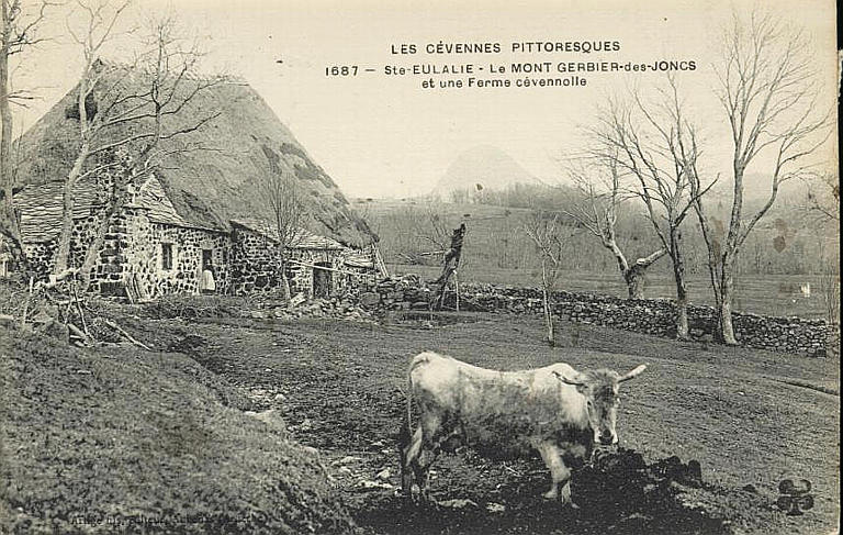 LES CEVENNES PITTORESQUES / 1687- STE EULALIE - LE MONT GERBIER DE JONC ET UNE FERME CEVENNOLE