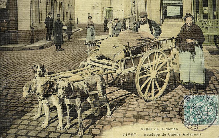 Vallée de la Meuse / GIVET - Attelage de Chiens Ardennais