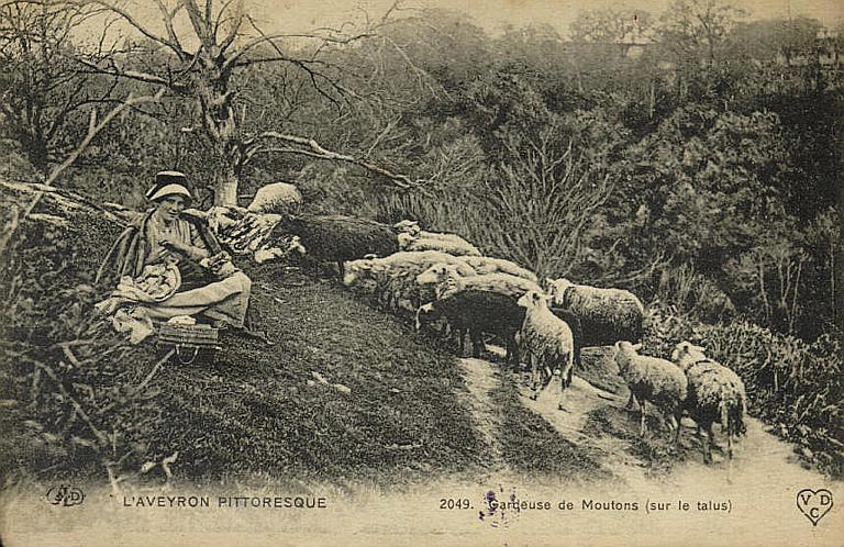 L'AVEYRON PITTORESQUE / 2049. GARDEUSE DE MOUTONS (SUR LE TALUS)