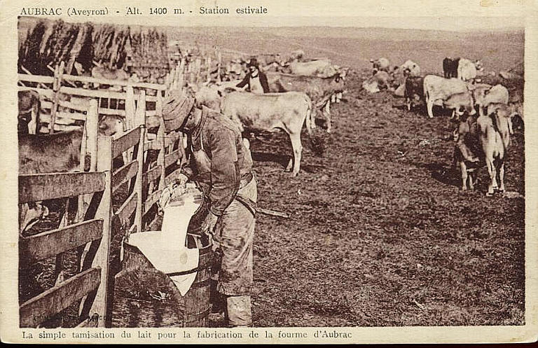 AUBRAC (AVEYRON) - ALT. 1400 M - STATION ESTIVALE - LA SIMPLE TAMISATION DU LAIT POUR LA FOURME D'AUBRAC