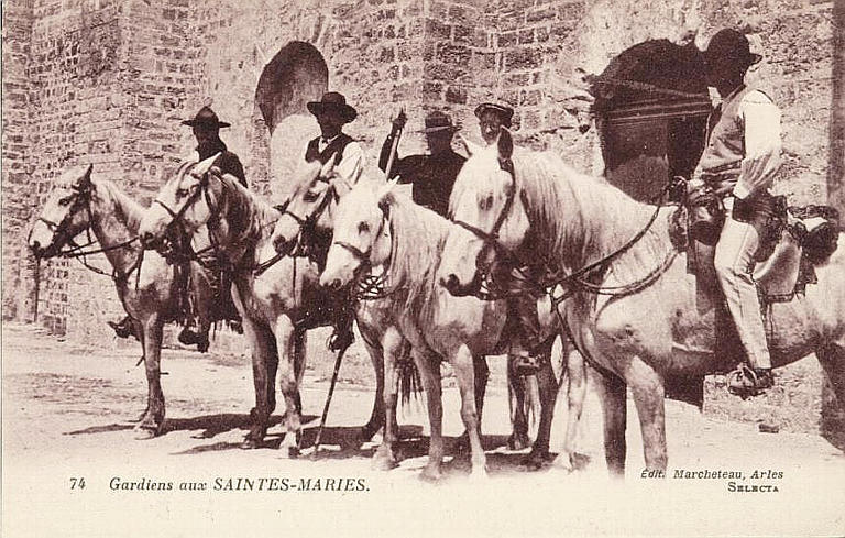 74 GARDIANS AUX SAINTES-MARIES