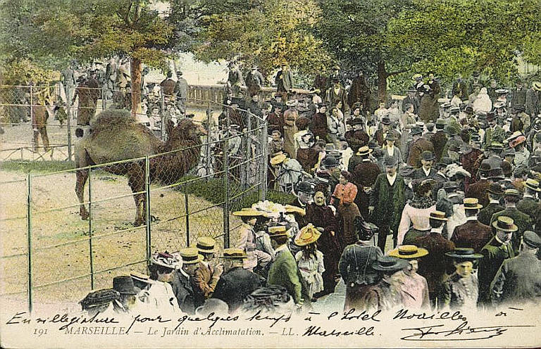 191 MARSEILLE - LE JARDIN D'ACCLIMATATION