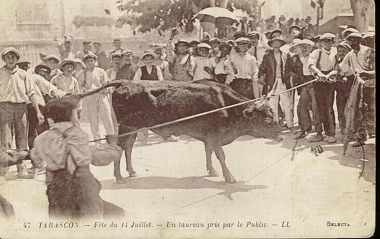 47 TARASCON - FETE DU 14 JUILLET - UN TAUREAU PRIS PAR LE PUBLIC