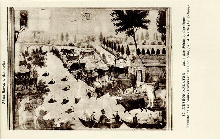 17. MUSEON ARLATEN - Salle des Pâtres et Gardians / Manade de taureaux traversant une roubine, par A. Galle (1808-1888)