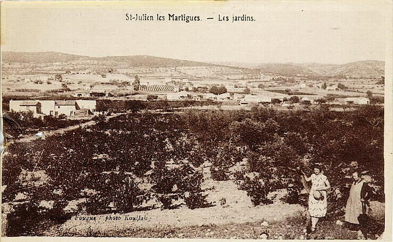 St-Julien les Martigues. - Les jardins.