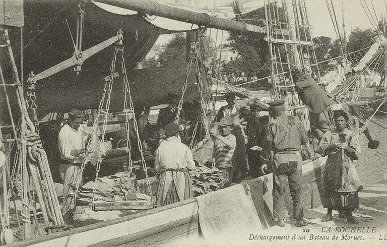 29 LA ROCHELLE - DECHARGEMENT D'UN BATEAU DE MORUES