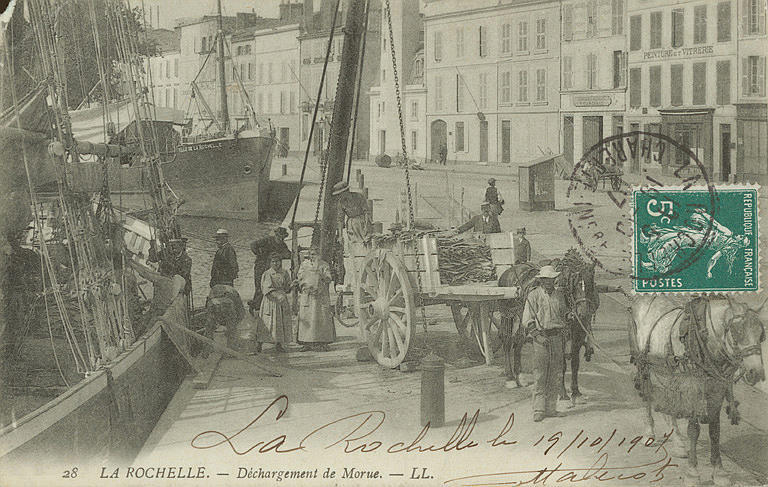 28 LA ROCHELLE - DECHARGEMENT DE MORUES