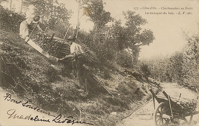 177. - COTE-D'OR. - CHARBONNIERS EN FORET - LE TRANSPORT DU BOIS