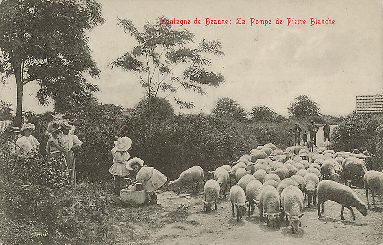 MONTAGNE DE BEAUNE : LA POMPE DE PIERRE BLANCHE
