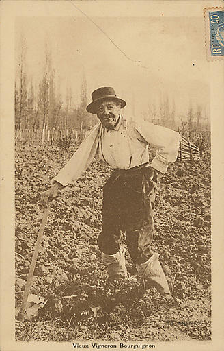 VIEUX VIGNERON BOURGUIGNON