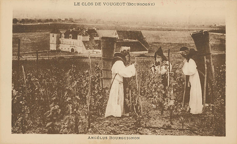 LE CLOS DE VOUGEOT (BOURGOGNE) - ANGELUS BOURGUIGNON